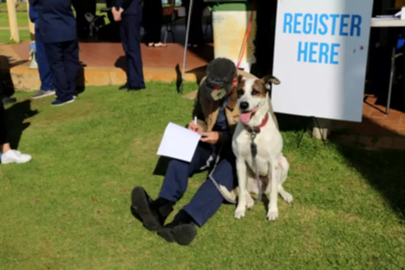 RSPCA WA free community day for Gosnells pet owners amid cruelty spike