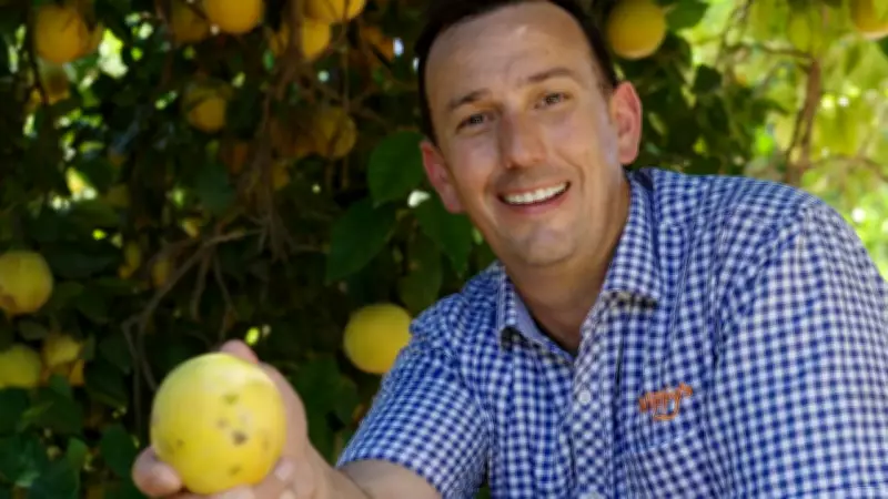 SA family business Nippy’s invests $11.5m to double citrus output