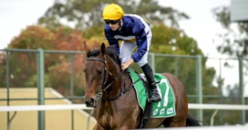 Scone Racing Tips: Expert Previews for Saturday’s Full Card