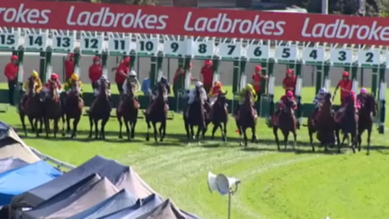 Spreadsheet Error Blamed for Hobart Cup Distance Fiasco