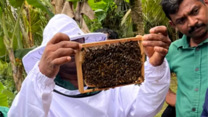 Sri Lankan Resort Launches Bee Conservation Initiative for International Bee Day