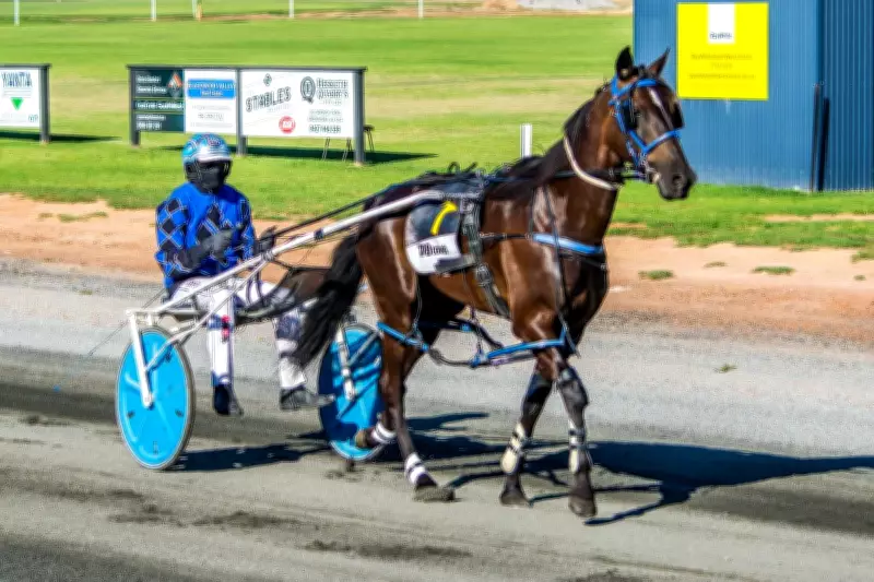 Stewards inquiry into Aiden De Campo's race actions adjourned