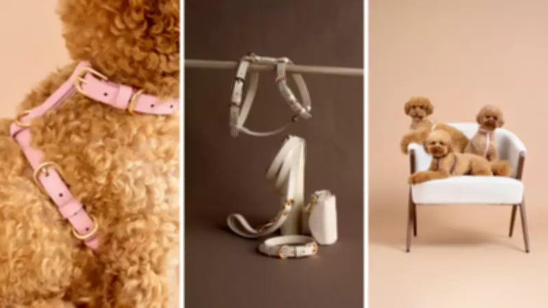 Sustainable Pet Brand MIA COOSH Offers Vegan Leather Walkwear