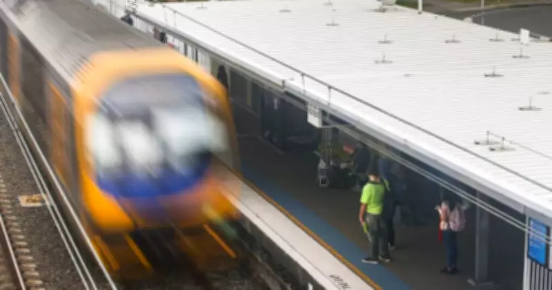 Teen Sentenced to Jail for Carrying Gun, Axe, Explosives on Train