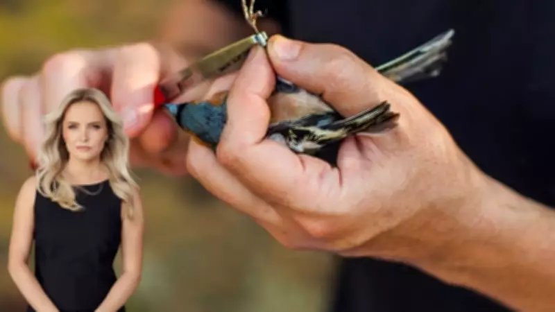 Time to Rethink Anti-Bird Idioms: From Birdbrain to Wild Goose Chase