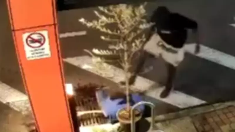 Townsville Eatery Balabite Hit by Wave of Theft and Vandalism