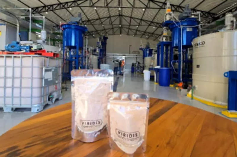 Viridis Mining produces first rare earth carbonate at Colossus plant