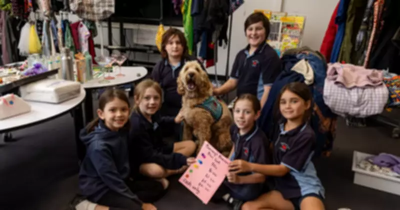 Waratah West Public School Hosts Barney's Bazaar Fundraiser for Wellbeing Dog