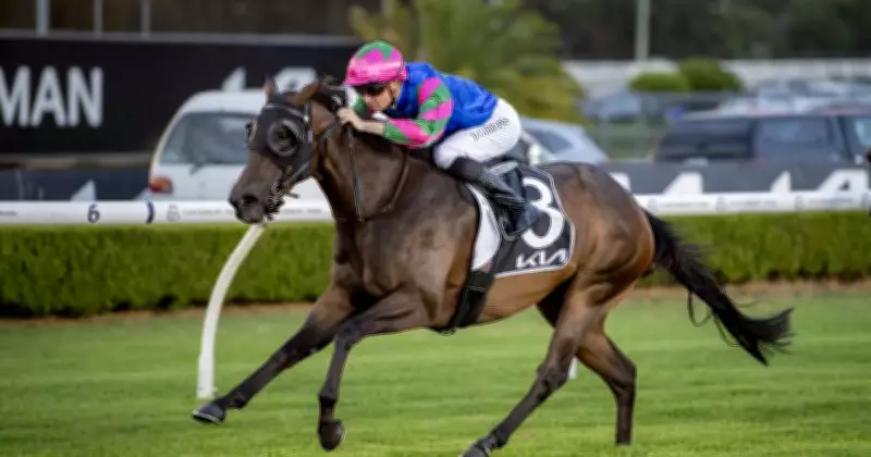 Warwick Farm Racing Tips: Super Bright Ready to Shine on Wednesday