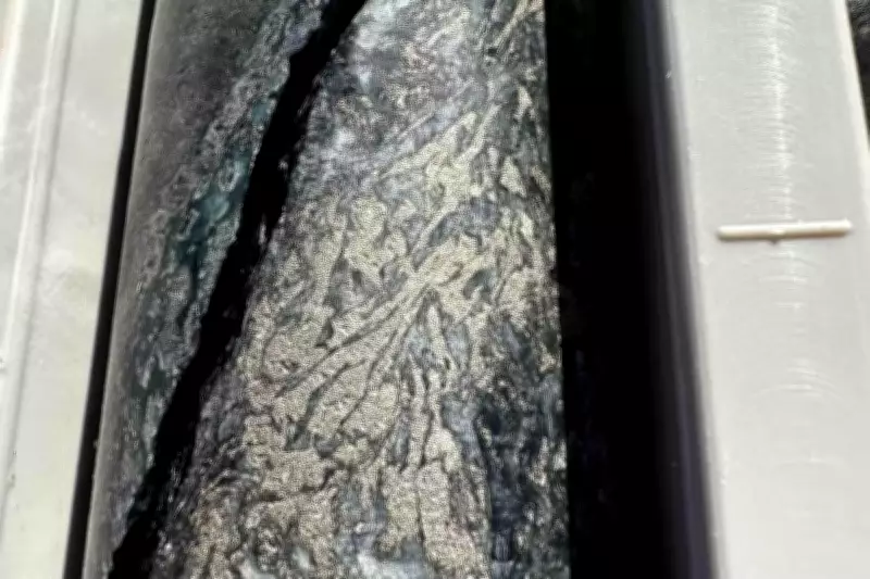 Western Mines Hits 230m Nickel Zone at Mulga Tank Project