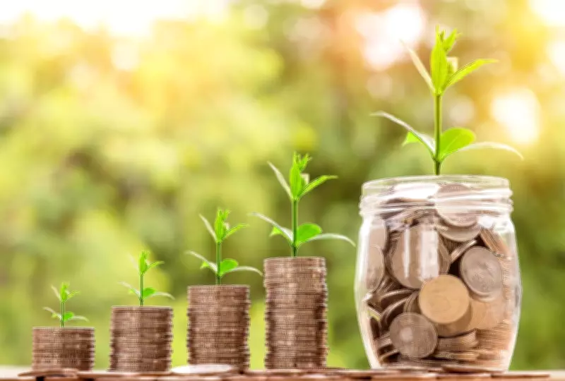 Why ESG Ethical Investing Lost Its Shine: Three Key Reasons