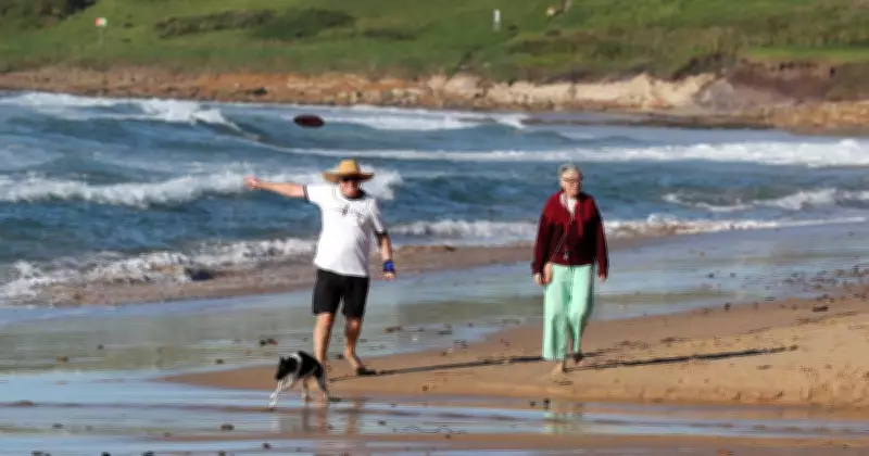 Wollongong Council Abandons Proposed Dog Beach Rule Changes