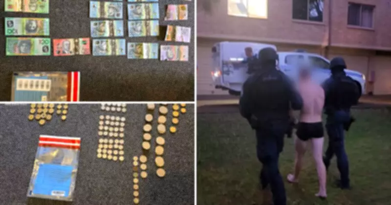Wollongong Man, 27, in Court Over Alleged Business Crime Spree