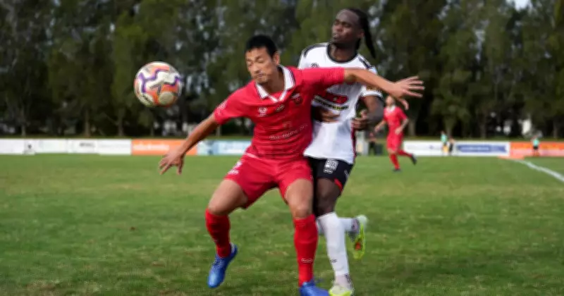 Wollongong Wolves' Unbeaten Streak Continues But Late Draw Stings