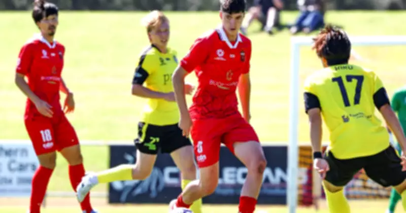 Wollongong Wolves' Young Talent Fuels Unbeaten NPL Run