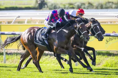 Beatty and Afireofgidgeecoals Set for Sires Produce Rematch