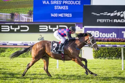 Beatty turns tables on Afireofgidgeecoals after Karrakatta barrier mishap