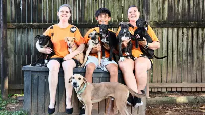 Cairns Animal Rescue Fundraiser to Cover Soaring Monthly Costs