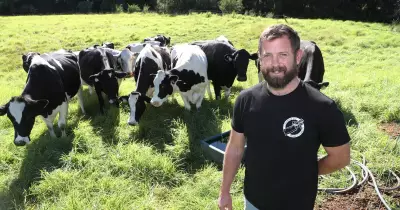 Dairy Beef Cuts Emissions by Half, Says Illawarra Farmer Greg Mumm