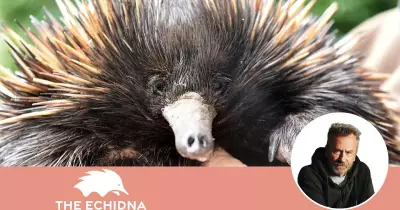 Danielle Clode Unveils Mysteries of Australia's Unique Echidna