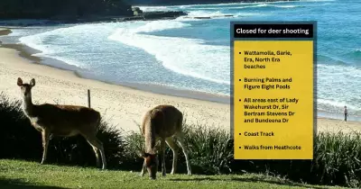 Deer Culling from Helicopters Forces Royal National Park Closures
