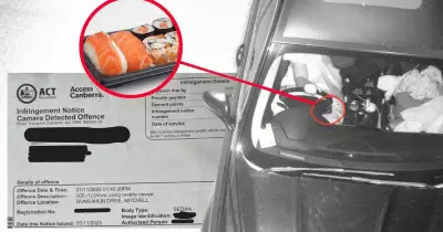 Driver Challenges $548 Fine for Mobile Phone Use, Claims It Was Sushi
