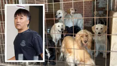 Emaciated Dogs Rescued from Squalid Canning Vale Property