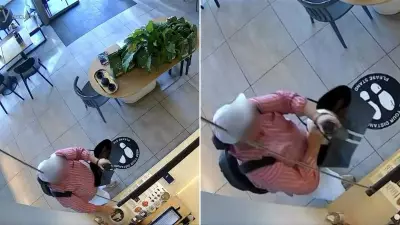 Gold Coast cafe tip jar theft spree caught on CCTV