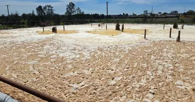 Hexham Manufacturing Fined $30,000 Over Foul Dairy Odours