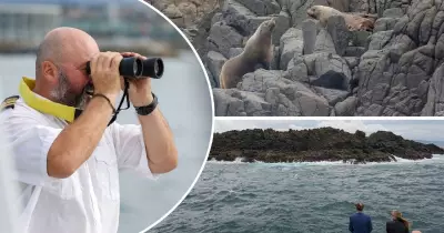 Inside Shellharbour's Whale Watching Tours: A First-Hand Experience