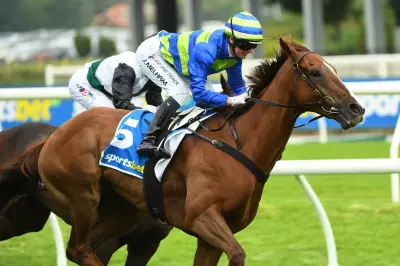 Maher's Stradbroke Duo Set for Doomben 10,000 Tune-Up