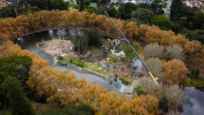 Perth Mayor Urges State Action on Destructive Tree Borer Crisis