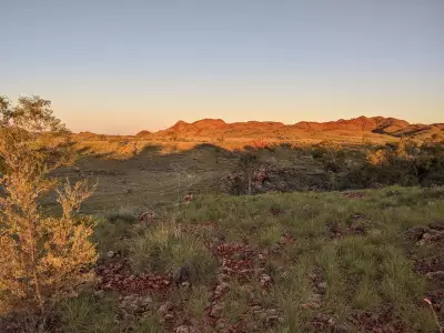 Pilbara rocks reveal how continents formed 3.5 billion years ago