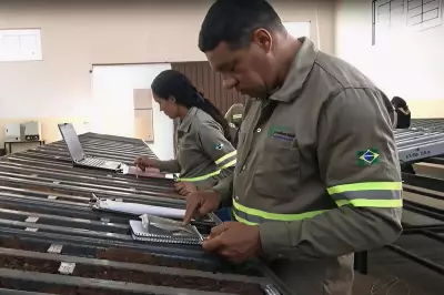 St George Mining's Brazil Project Hits Thick Rare Earths and Niobium