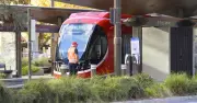 ACT Government Defers Fare Evasion Fines on Public Transport