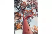 Adelaide Shines in New Tourism Campaign 'This Is Adelaide'