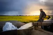 Ag Town Awards: More Than a Prize for Regional SA