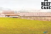 Barossa Resort Approved, SA Businesses Win Big in Weekly Roundup