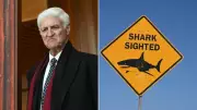 Bob Katter slams shark laws after fatal attack in North Queensland