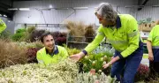 Central Coast Farmer's Flowers Set to Bloom at UK Show