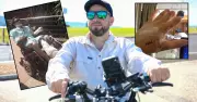 Costly Fitness: $29,000 Bike Key to Paraplegic's Health in Wollongong