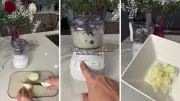Cuisinart Mini Chopper Drops to Just $45.20 at Amazon Australia