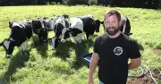 Dairy Beef Cuts Emissions by Half, Says Illawarra Farmer Greg Mumm