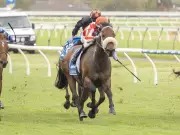 Desert Lightning Wins Goodwood in Dramatic Photo Finish