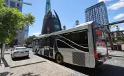 East Perth businesses need CAT bus extension to Point Fraser: council