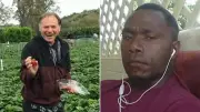 Farm Worker Jailed for Manslaughter After Amputating Man's Leg