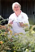Frangipani fix and Silver Princess rescue: Gardening Q&A