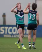 Fremantle Dockers AFL: Every Listed Player's Performance in Peel Thunder's WAFL Win