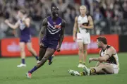 Fremantle Dockers Stage Epic Comeback to Beat Hawthorn in AFL Thriller