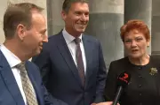 From 'Please Explain' to Prison: One Nation Wave's Future